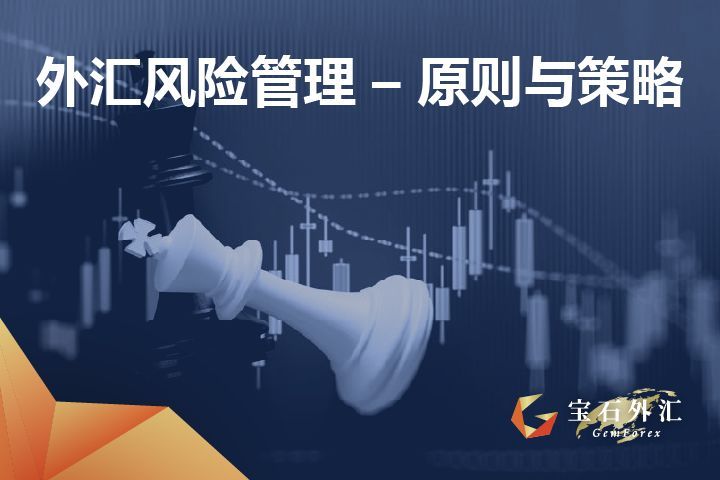 外汇平台风险管理策略（GemForex：外汇风险管理有哪些管理原则与管理策略）(图1)