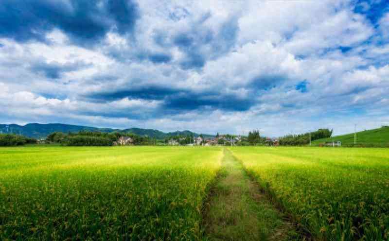 兴业银行住房贷款申请条件（申请购房贷款需要满足哪些条件）(图1)