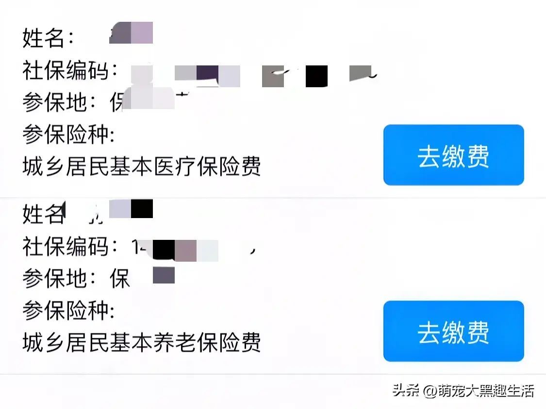 养老保险缴费怎么交（交养老保险却闹出了笑话，教大家用手机微信轻松缴纳养老保险费用）(图3)