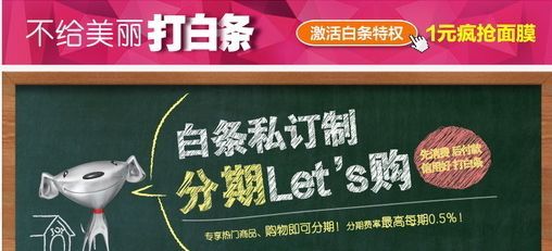 京东白条是什么意思（京东白条的优点和缺点。打白条套，你要的答案都在这）(图1)