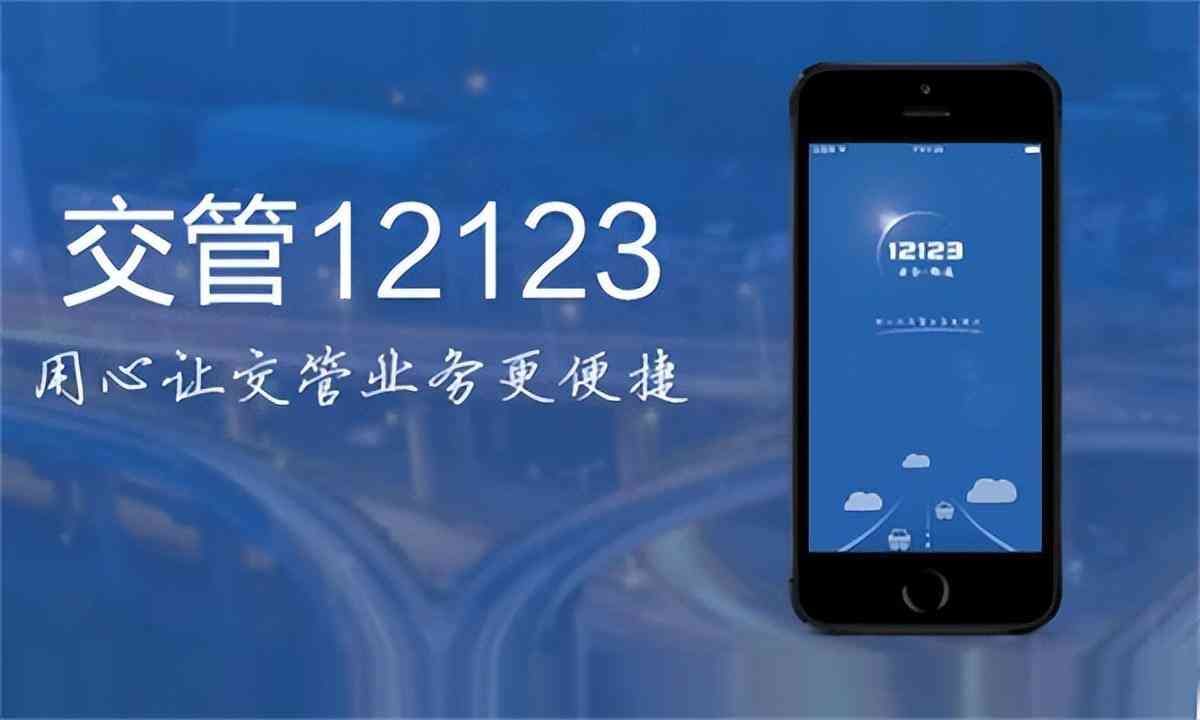 车辆出险记录查询网（交管12123怎么查询出险记录?如何查询车辆出险理赔记录?）(图4)