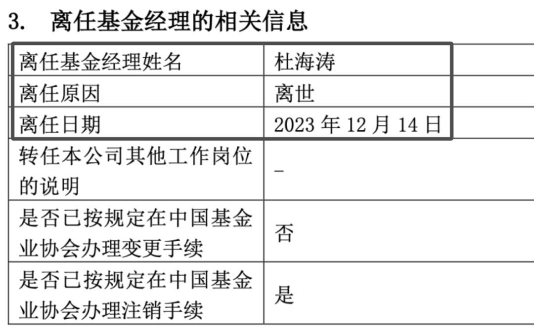 目前买什么基金好（我最偏爱的3种基金）(图2)