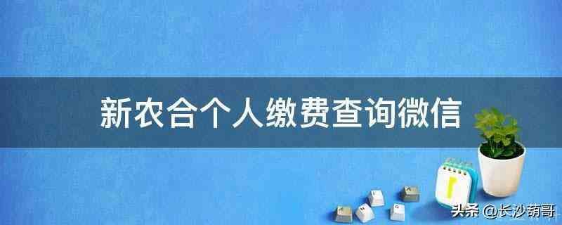 新农合医保网上缴费怎么交（新农合个人缴费查询（详解新农合个人缴费查询12333））(图3)