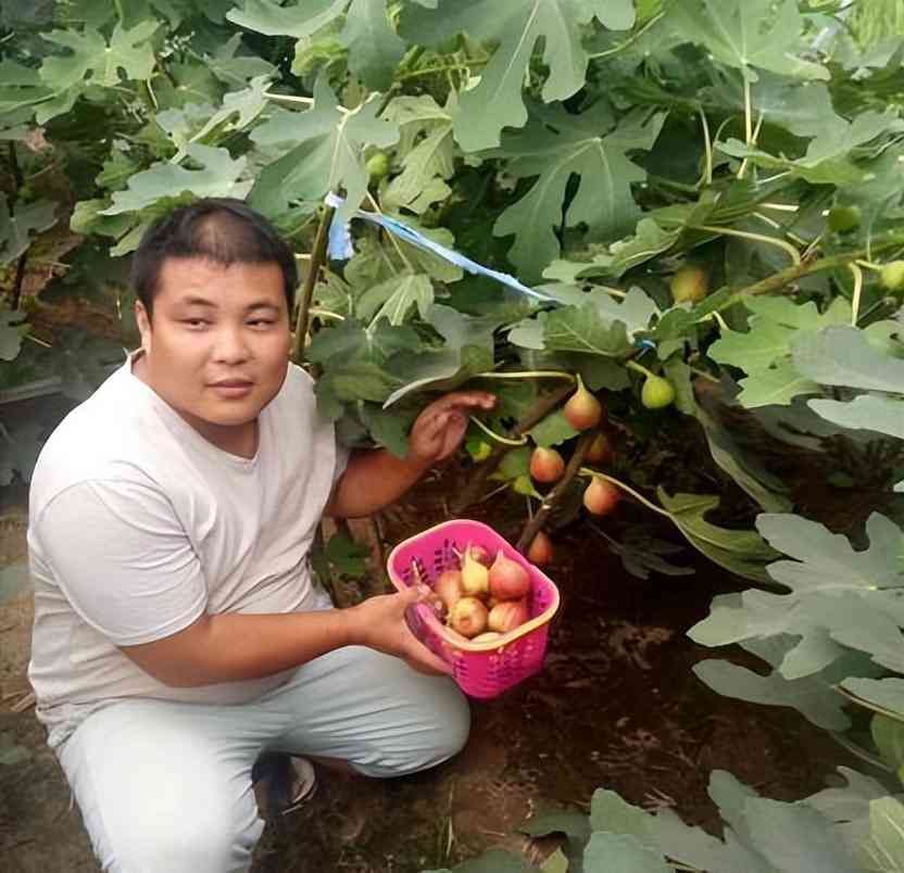 种植什么最赚钱农村（农村“罕见的暴利”种植，1斤卖5500元，堪比黄金还贵，值得推广）(图1)