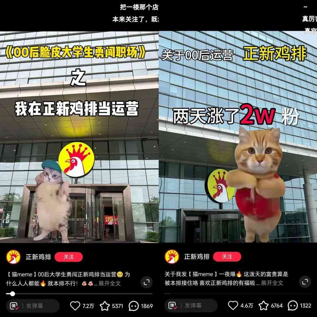 meme是什么意思（在小红书2天涨粉2万，“猫meme”成流量密码？）(图4)