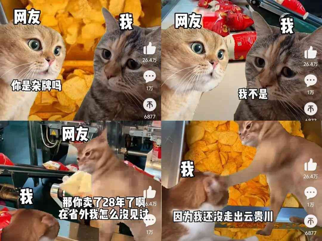 meme是什么意思（在小红书2天涨粉2万，“猫meme”成流量密码？）(图5)