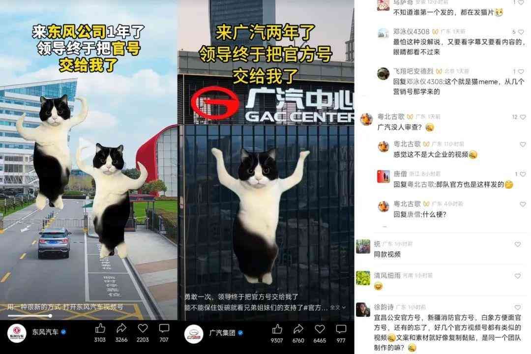 meme是什么意思（在小红书2天涨粉2万，“猫meme”成流量密码？）(图11)