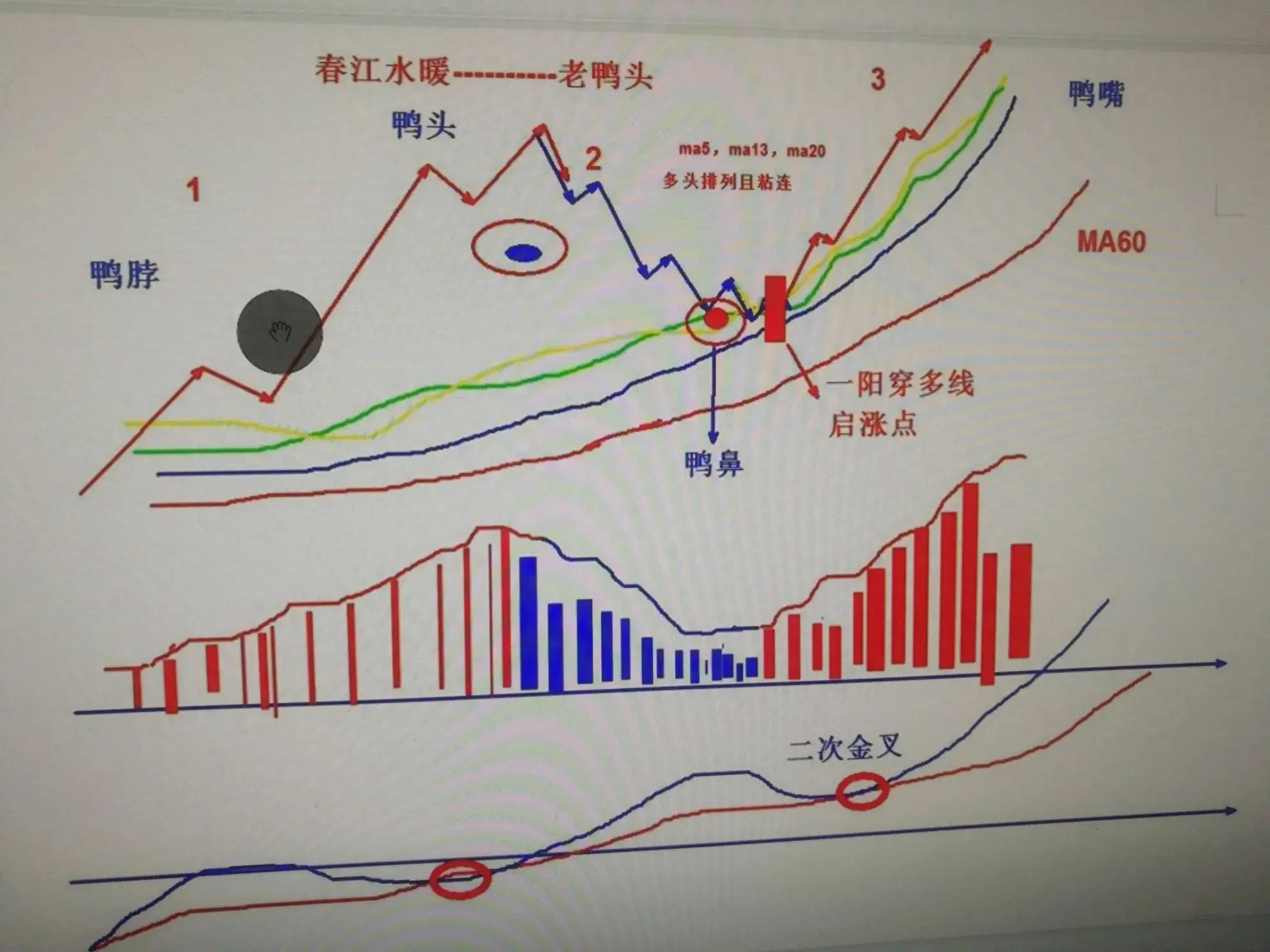 老鸭头走势一般涨幅是多少（老鸭头：高胜率形态）(图1)