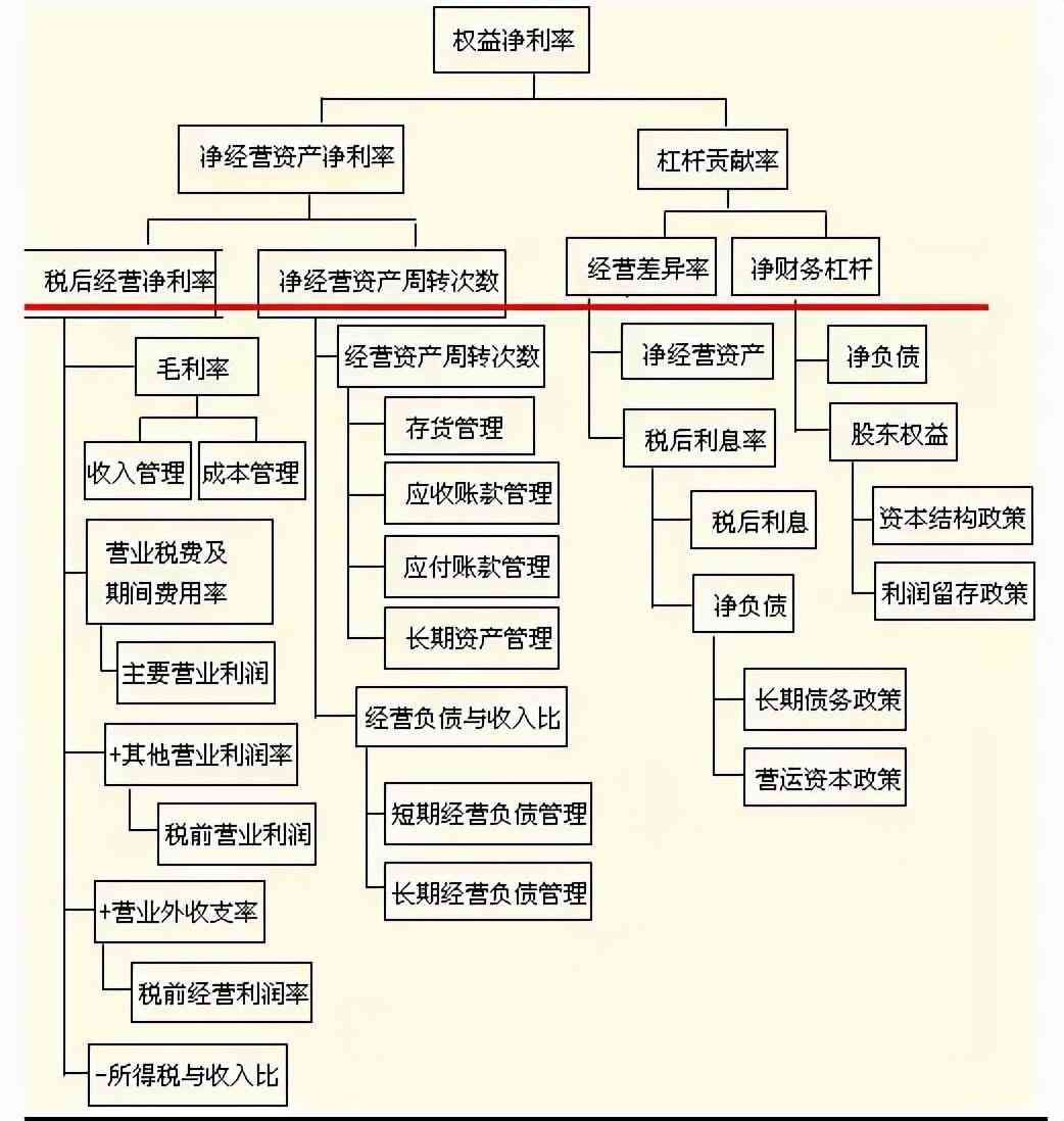 净财务杠杆什么是财务杠杆（改进的杜邦分析法及管理财务报表编制）(图10)