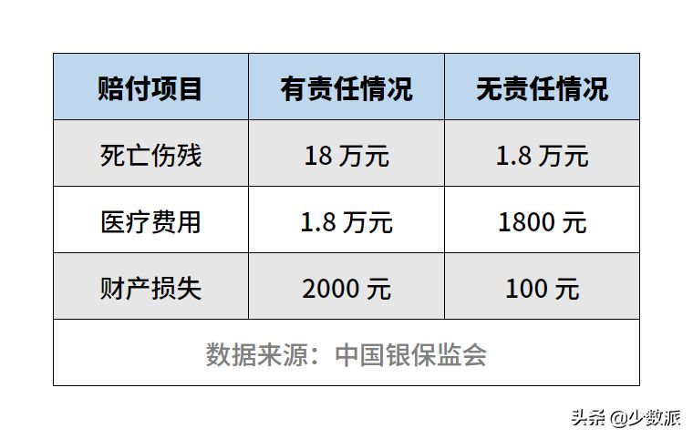 车险有哪些项目，新手上路，第一份车险这样买不吃亏(图2)