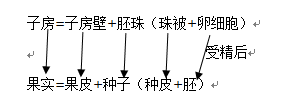 无性生殖和有性生殖的区别（中考生物一轮复习 专题十八 生物的生殖和发育）(图7)