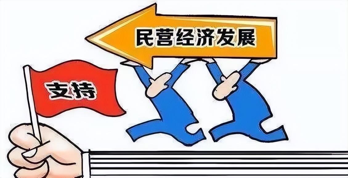 人民日报评司马南（振兴民营经济的舆论环境思考，封杀司马南真的有用吗）(图3)