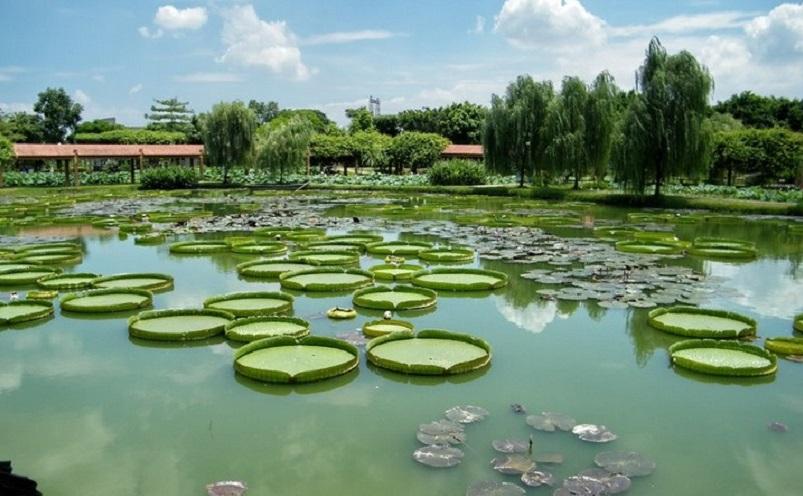 佛山旅游必去十大景点（佛山十大必玩景点，去过九处才算真正玩转佛山）(图20)