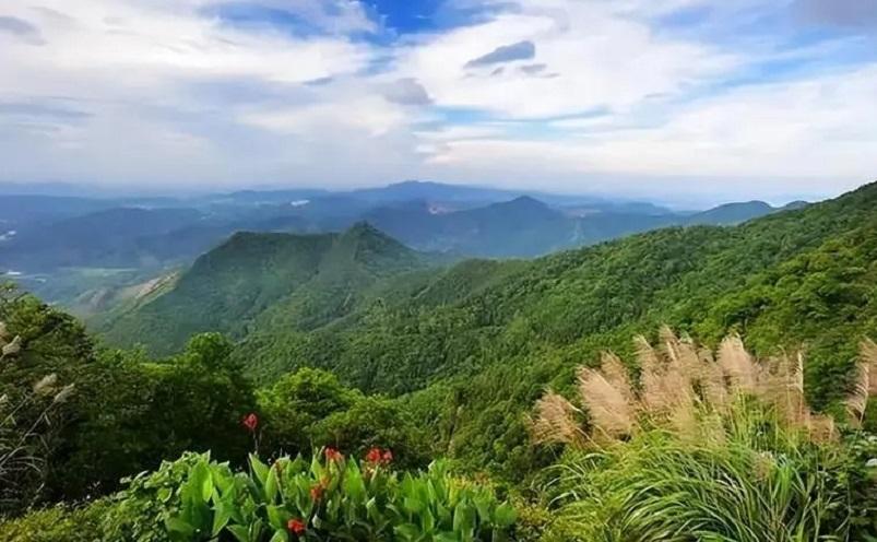 佛山旅游必去十大景点（佛山十大必玩景点，去过九处才算真正玩转佛山）(图22)