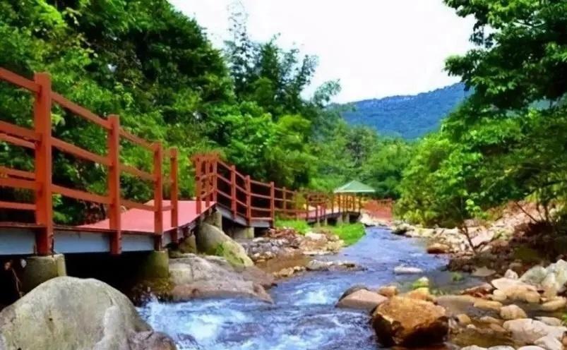 佛山旅游必去十大景点（佛山十大必玩景点，去过九处才算真正玩转佛山）(图24)