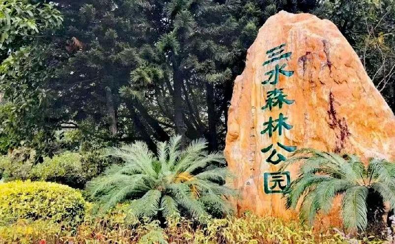 佛山旅游必去十大景点（佛山十大必玩景点，去过九处才算真正玩转佛山）(图43)