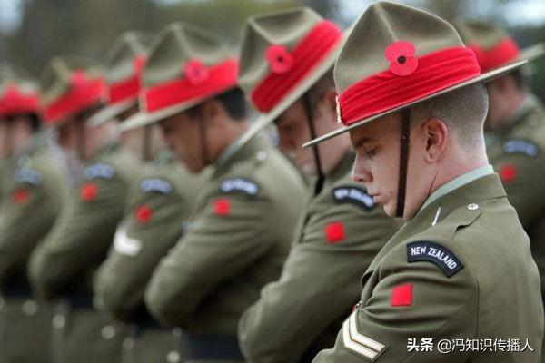 诺曼底登陆是哪国打哪国（二战最大的登陆行动是诺曼底登陆，那一战最大的登陆行动是什么）(图5)