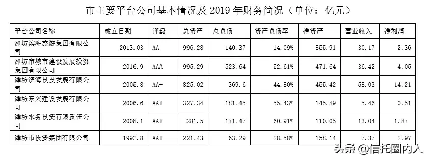 刚性负债合计是什么意思（你还分不清显性债务和隐性债务）(图2)