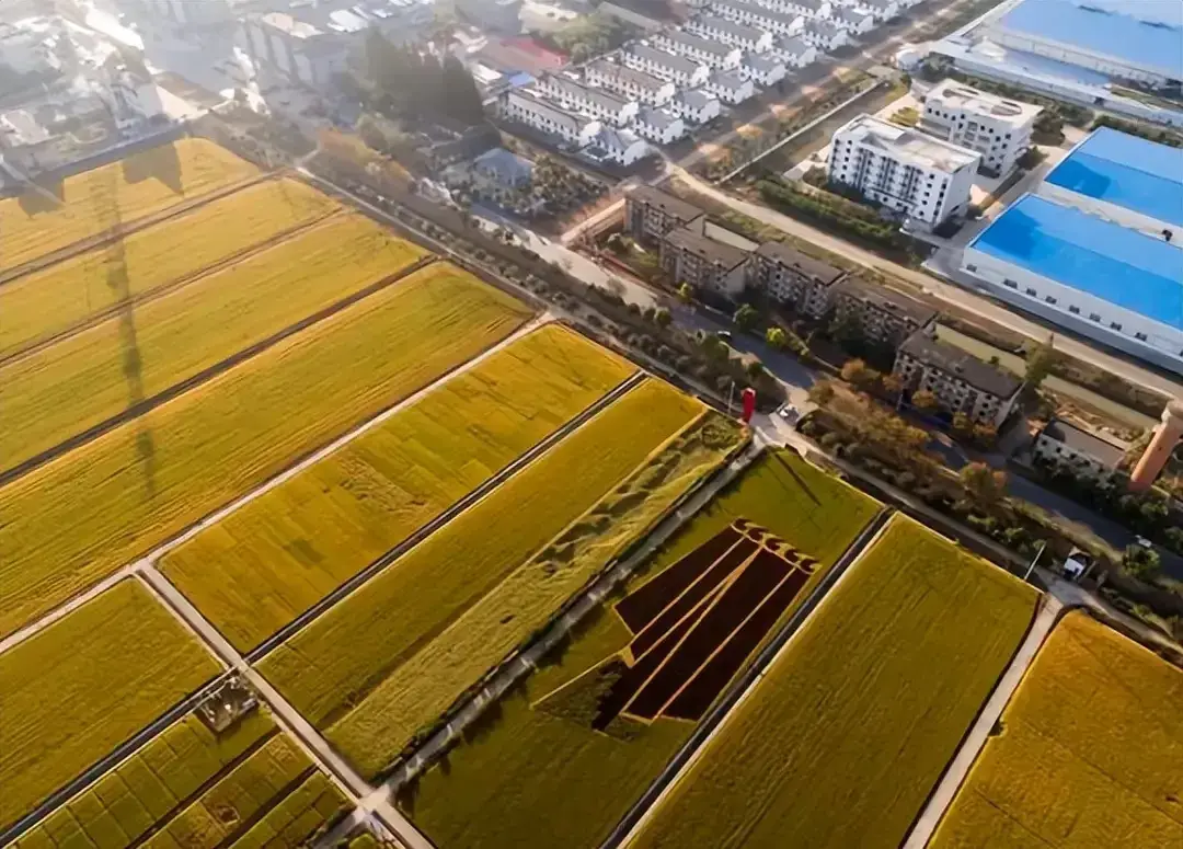 房产70年产权到期后归谁所有（房子只有70年产权，产权到期后房子又会归谁？上海已有案例）(图3)