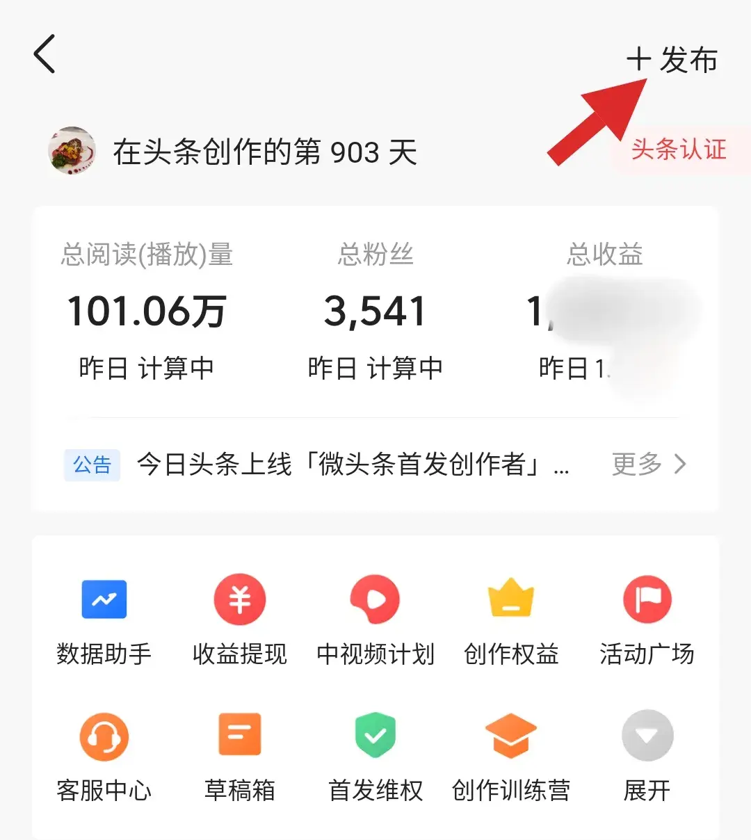 今日头条发视频怎么赚钱（如何通过今日头条端发布视频来获取收益呢）(图4)