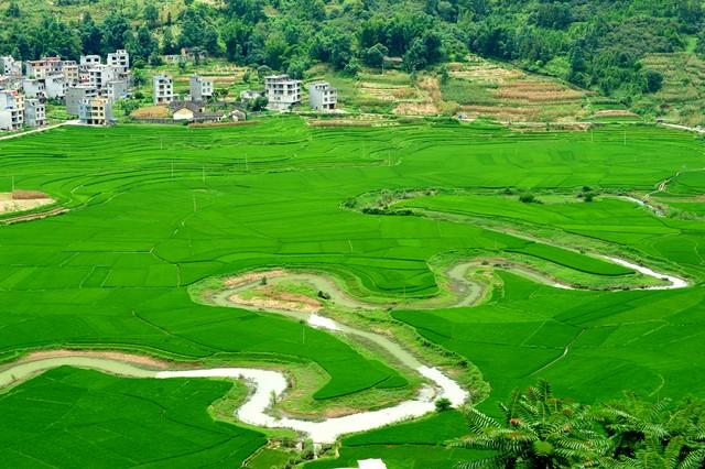 巴马景区旅游景点介绍（广西巴马：世界长寿之乡的由来、景点与长寿村的奥秘）(图2)