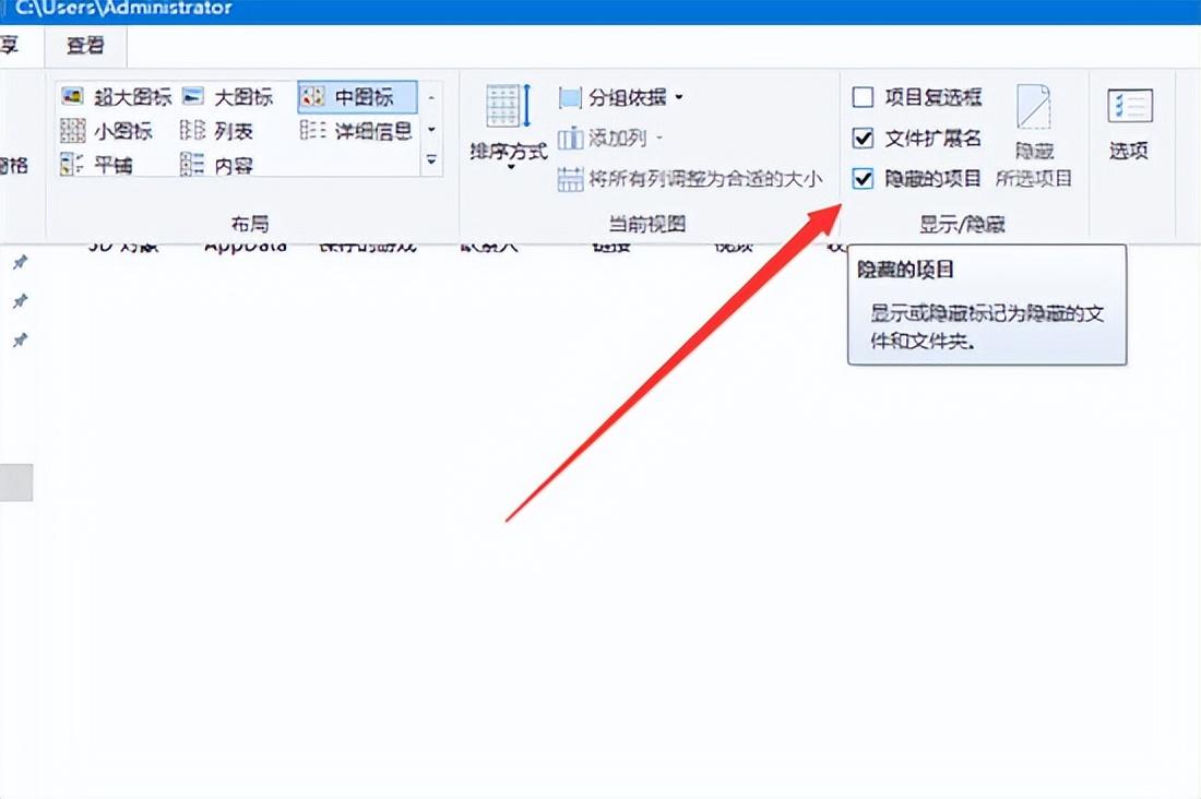 win10电脑文件夹选项在哪里（Win10的appdata文件夹在哪里 电脑appdata文件夹在哪）(图11)