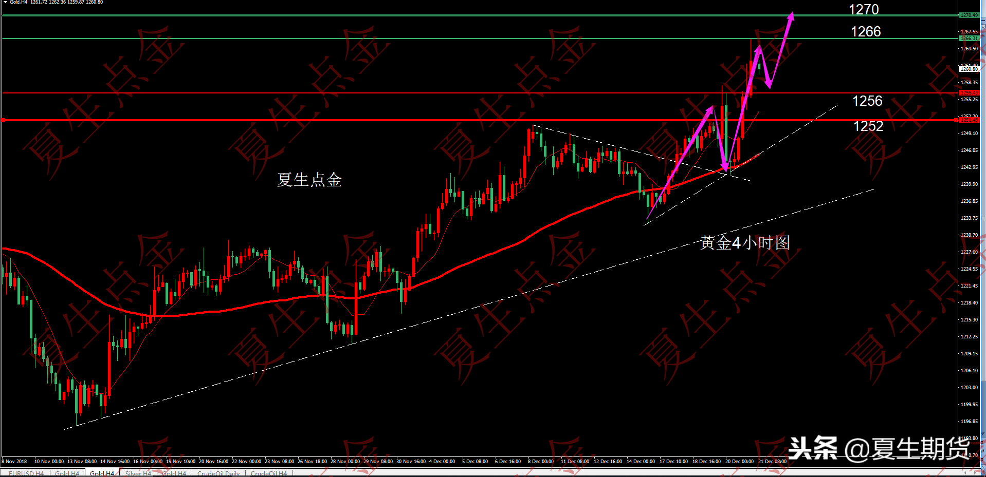 黄金极端上涨不猜顶点是什么意思（夏生点金：黄金极端多头不言顶，顺势而为）(图1)