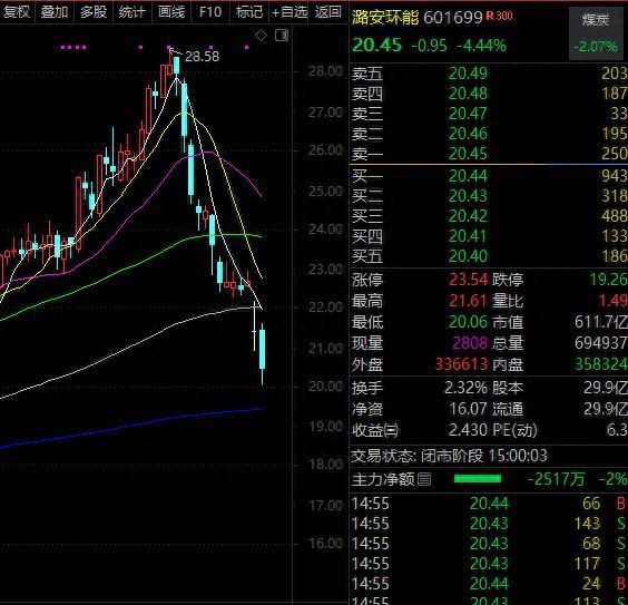 龙头股大跌意味什么（太突然，高股息龙头大跌近30%，什么情况？这些优质股也砸出深坑）(图1)