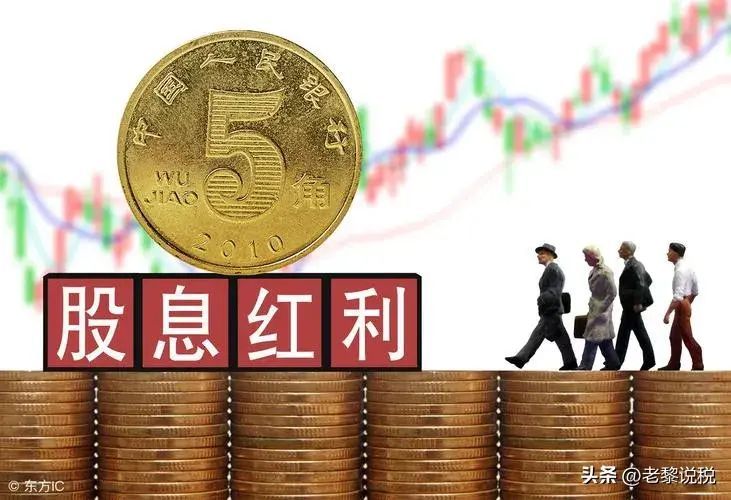 基金分红的税务处理（老黎说税（2024年第47讲）:股息红利税务及账务处理）(图2)